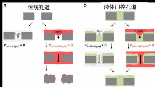 閩江科學傳播者丨廈門大學 仿生設計 溝通生物與新材料的橋梁