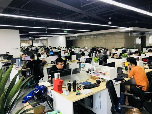 喜訊 巨龍信息入選2023年度廈門市重點軟件和信息技術服務企業(yè)名單