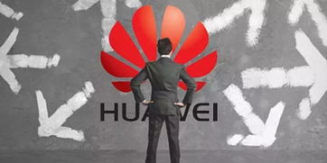 王峰評(píng)論馮鑫 等他出來(lái)喝酒 科創(chuàng)板首周運(yùn)行平穩(wěn),總市值超5000億元 哪吒之魔童降世 首周票房破7億