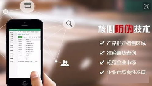 廈門二維碼防偽標簽的軟件設(shè)計與制作 技術(shù)創(chuàng)新與市場應用